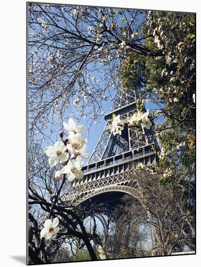 Eiffel Tower-Michel Lipchitz-Mounted Premium Photographic Print