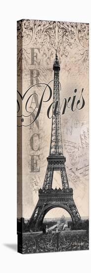 Eiffel Tower-Todd Williams-Stretched Canvas