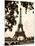 Eiffel Views I-Rachel Perry-Mounted Photographic Print