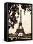 Eiffel Views I-Rachel Perry-Framed Stretched Canvas