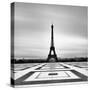 Eiffel-Craig Roberts-Stretched Canvas