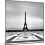 Eiffel-Craig Roberts-Mounted Photographic Print