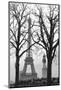 Eiffle Tower, Paris, France-Maresa Pryor-Mounted Photographic Print