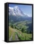 Eiger, Grindelwald, Berner Oberland, Switzerland-Jon Arnold-Framed Stretched Canvas
