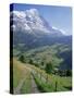 Eiger, Grindelwald, Berner Oberland, Switzerland-Jon Arnold-Stretched Canvas