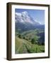 Eiger, Grindelwald, Berner Oberland, Switzerland-Jon Arnold-Framed Photographic Print