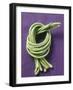 Eight Asparagus Beans, Tied in a Knot-Eising Studio - Food Photo and Video-Framed Photographic Print