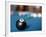 Eight ball on pool table-null-Framed Photographic Print