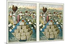Eight Cotton Bale Remedies', Advertisement for the Cotton Bale Medicine Company, Pub. C.1888-null-Mounted Giclee Print