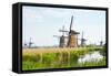 Eight from the Nineteen Windmills in Kinderdijk-Colette2-Framed Stretched Canvas