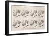 Eight Heads of Socrates, Classical Greek Philosopher-Barlow Barlow-Framed Art Print