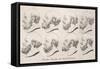 Eight Heads of Socrates, Classical Greek Philosopher-Barlow Barlow-Framed Stretched Canvas