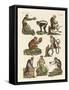 Eight Kinds of Guenon-null-Framed Stretched Canvas