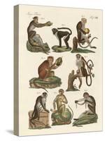 Eight Kinds of Guenon-null-Stretched Canvas