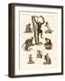 Eight Kinds of Monkeys-null-Framed Giclee Print