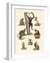 Eight Kinds of Monkeys-null-Framed Giclee Print