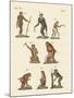 Eight Kinds of Monkeys-null-Mounted Giclee Print