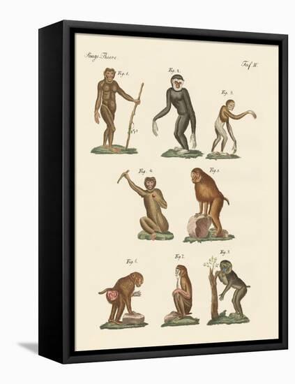 Eight Kinds of Monkeys-null-Framed Stretched Canvas