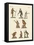 Eight Kinds of Monkeys-null-Framed Stretched Canvas