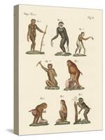 Eight Kinds of Monkeys-null-Stretched Canvas