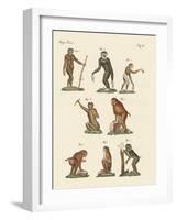 Eight Kinds of Monkeys-null-Framed Giclee Print