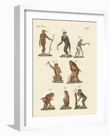 Eight Kinds of Monkeys-null-Framed Giclee Print