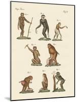 Eight Kinds of Monkeys-null-Mounted Giclee Print