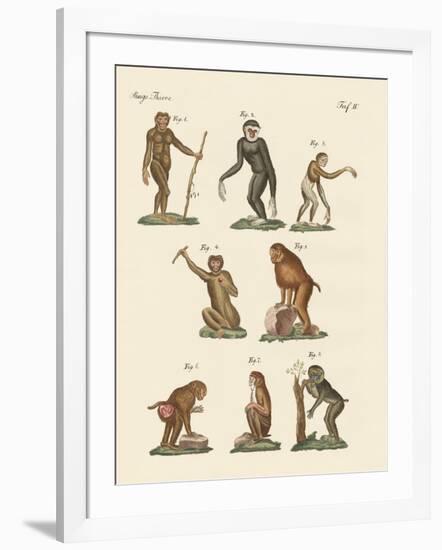 Eight Kinds of Monkeys-null-Framed Giclee Print