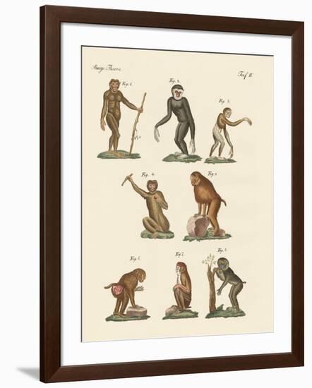 Eight Kinds of Monkeys-null-Framed Giclee Print