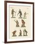 Eight Kinds of Monkeys-null-Framed Giclee Print