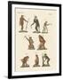 Eight Kinds of Monkeys-null-Framed Giclee Print