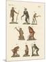 Eight Kinds of Monkeys-null-Mounted Giclee Print