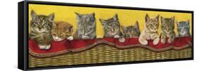 Eight Kittens in Basket-Janet Pidoux-Framed Stretched Canvas