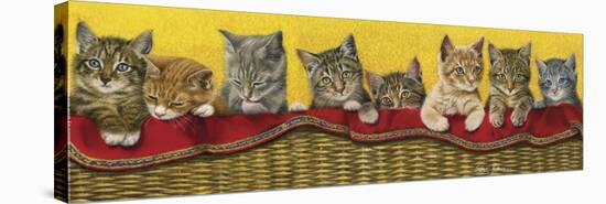 Eight Kittens in Basket-Janet Pidoux-Stretched Canvas