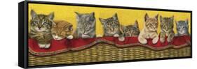 Eight Kittens in Basket-Janet Pidoux-Framed Stretched Canvas