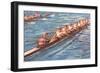 Eight-Man Rowing-null-Framed Art Print