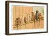 Eight Monkeys, Yum-null-Framed Art Print