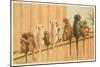 Eight Monkeys, Yum-null-Mounted Art Print