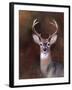 Eight Point in Autumn-Jai Johnson-Framed Giclee Print