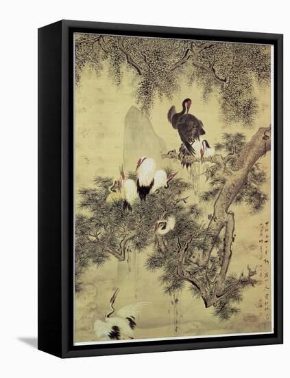 Eight Red-Crested Herons in a Pine Tree, 1754-Hua Yan-Framed Stretched Canvas