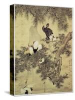 Eight Red-Crested Herons in a Pine Tree, 1754-Hua Yan-Stretched Canvas