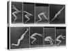 Eight Shots of a Man Jumping-null-Stretched Canvas