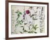 Eight Studies of Wild Flowers-Albrecht Dürer-Framed Giclee Print