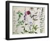 Eight Studies of Wild Flowers-Albrecht Dürer-Framed Giclee Print