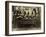 Eight Women in High Hats Having Tea in Norfolk, England, Ca. 1920-null-Framed Photo