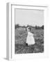 Eight Year Old Jennie Camillo from Philadelphia Picking Cranberries at Theodore Budd's Bog-Lewis Wickes Hine-Framed Photographic Print