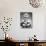 Eight Year Old School Boy Portrait, Ca. 1954-null-Photographic Print displayed on a wall