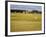 Eighteenth Green at the Old Course, St. Andrews, Fife, Scotland, United Kingdom, Europe-Mark Sunderland-Framed Photographic Print