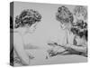 Eighty Drawings Including the Weaker Sex: the Story of a Susceptible Bachelor-Charles Dana Gibson-Stretched Canvas