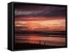 Eighty Mile Beach, Western Australia, Australia, Pacific-Jochen Schlenker-Framed Stretched Canvas